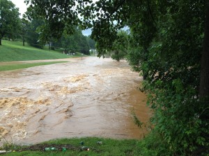 Flooded Yard